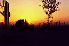 Sonnenuntergang im Chianti