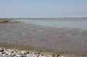 Wattenmeer