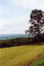 Blick vom Mont Gargan